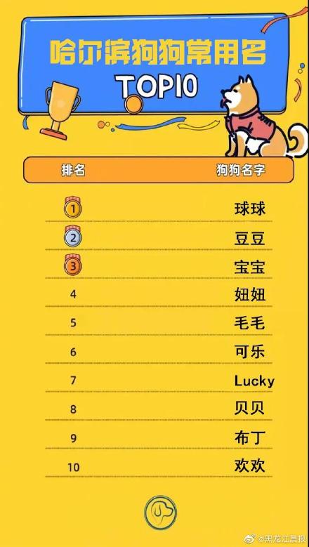 哈尔滨狗狗常用名Top10!你家狗狗叫啥名? 哈尔滨狗狗常用名Top10!你家狗狗叫啥名?