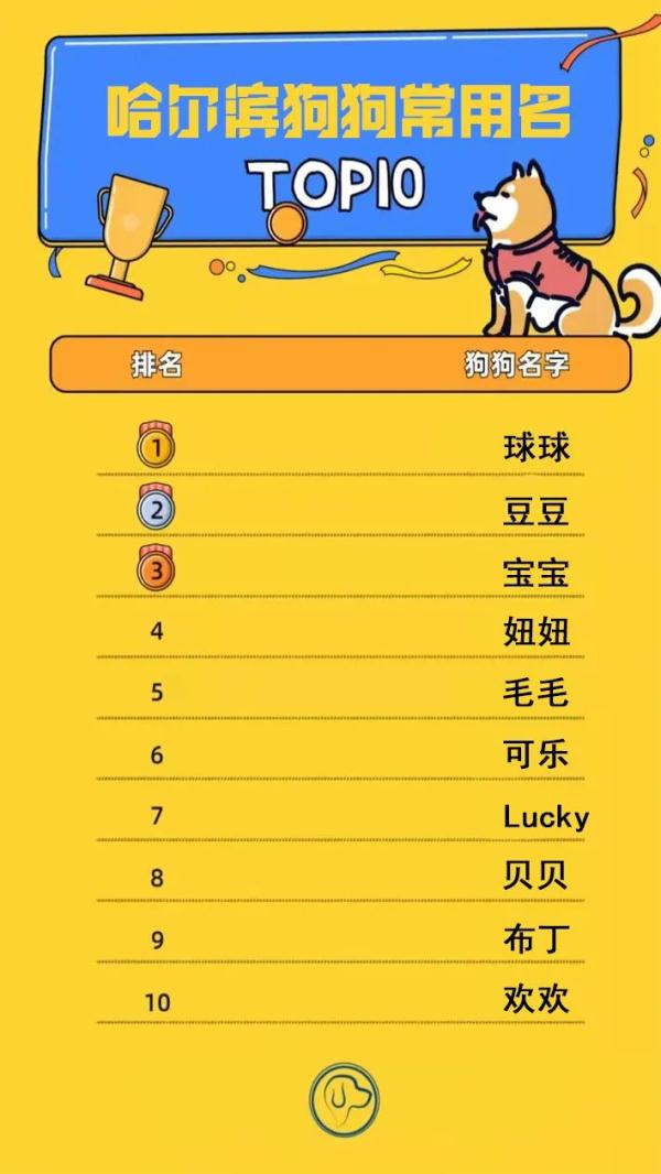 哈尔滨狗狗常用名Top10!你家狗狗叫啥名? 哈尔滨狗狗常用名Top10!你家狗狗叫啥名?