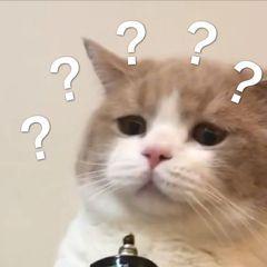 珠海这些高速公路上,惊现一帮捡“垃圾”的专业队…… 珠海这些高速公路上,惊现一帮捡“垃圾”的专业队……