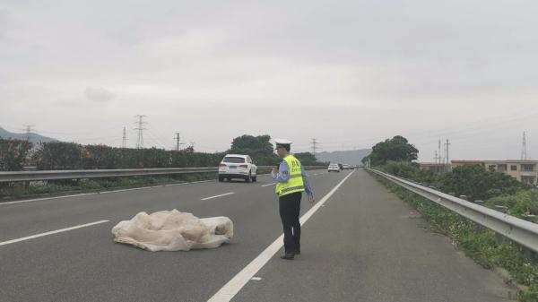 珠海这些高速公路上,惊现一帮捡“垃圾”的专业队…… 珠海这些高速公路上,惊现一帮捡“垃圾”的专业队……