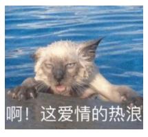 上海大概率已入夏？雷雨和大风又来了，温度也要暴跌……