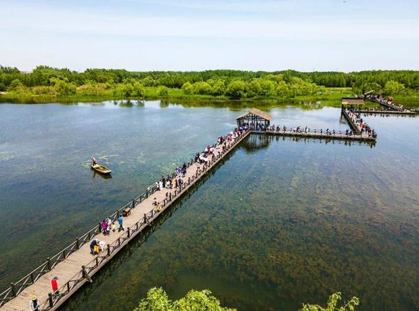 这个1132.3亿元的“大项目”，你贡献了多少？