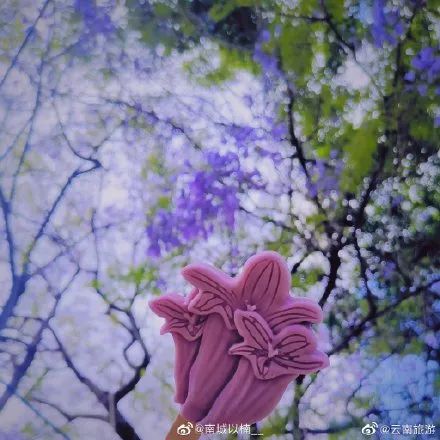 举着“文物”去旅游，各地“文创雪糕”大battle！云南这几款申请出战