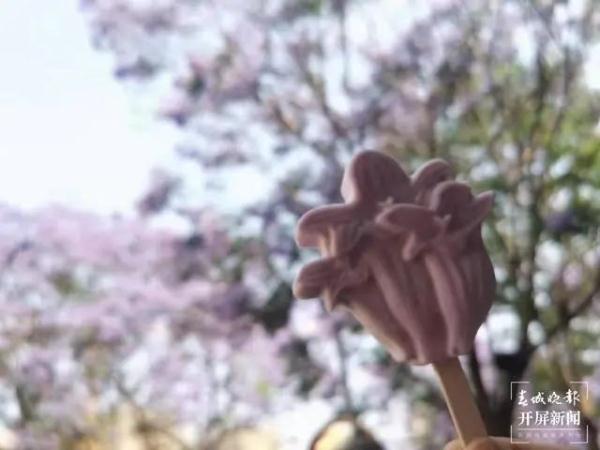 “三星堆”雪糕火了，蓝花楹雪糕请求出战！速来打卡！