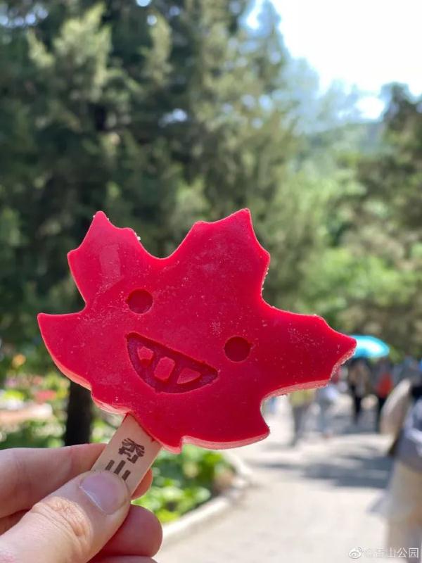 全部想打卡！这款雪糕火出圈，象鼻山冰激凌前来应战