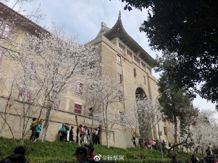 中国有约ADatewithChina 打卡武汉，感受人间烟火气
