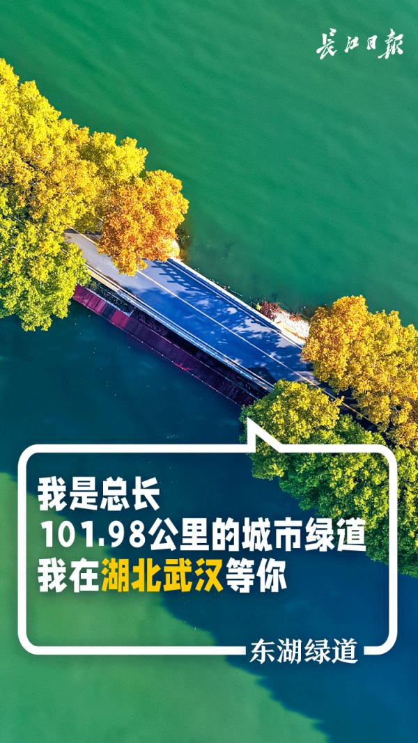 世界你好,欢迎打卡武汉! 世界你好,欢迎打卡武汉!