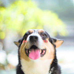 入春啦！但又双叒要下雨了！