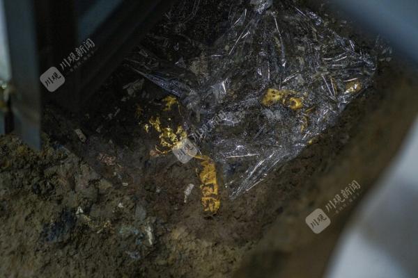 三星堆遗址集中发现象牙超100根，还有象牙制品
