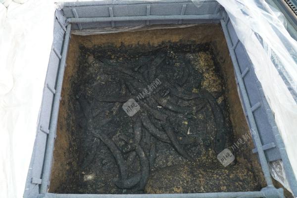 三星堆遗址集中发现象牙超100根，还有象牙制品