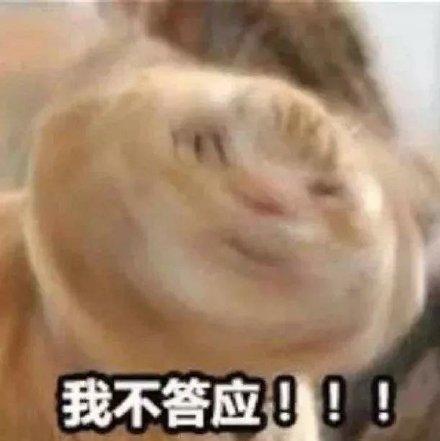 冷空气周日来袭！外带8级大风！深圳下周一最低温度16 ℃