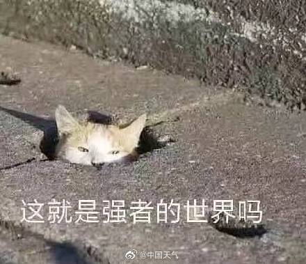 华北黄淮大范围气温破纪录！局地气温接近30℃！
